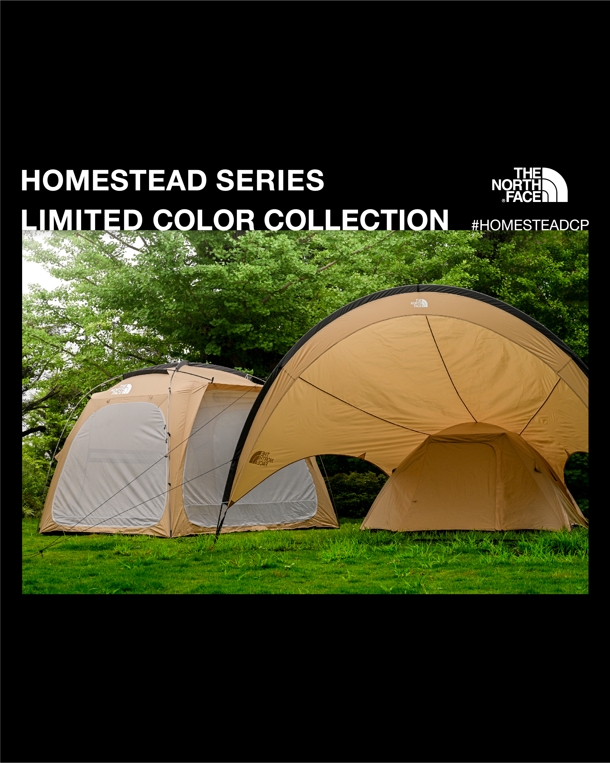 THE NORTH FACE HOMESTEAD SERIES - LIMITED COLOR COLLECTION 