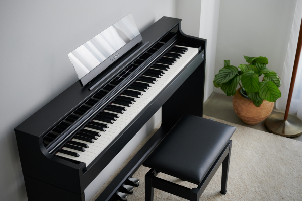 レディース 福袋 (セール) -ファッション通販 CASIO 電子ピアノ（CASIOの電子ピアノ《PX-770》組み立てして 鍵盤楽器、ピアノ